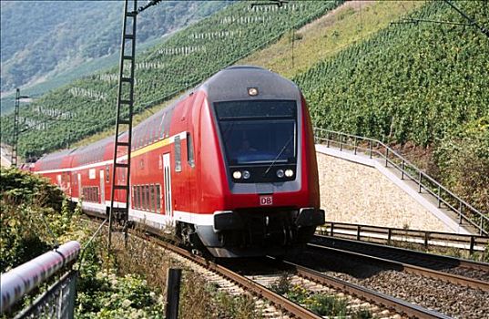 列车,莱茵河,山谷,德国