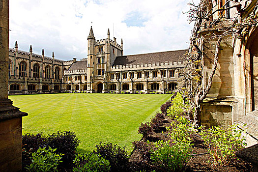 回廊,大学,一个,独立,一起,形态,牛津大学,牛津,英国,欧洲