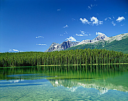 湖,碧玉国家公园,艾伯塔省,加拿大