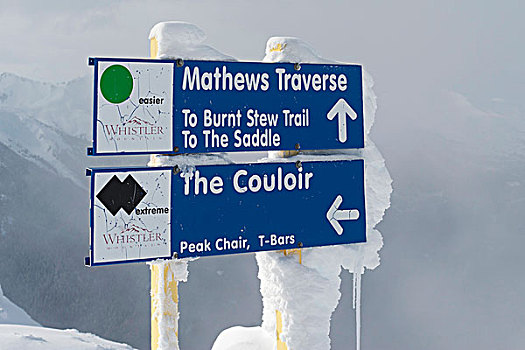 标识,多样,滑雪,山,滑雪胜地,不列颠哥伦比亚省,加拿大