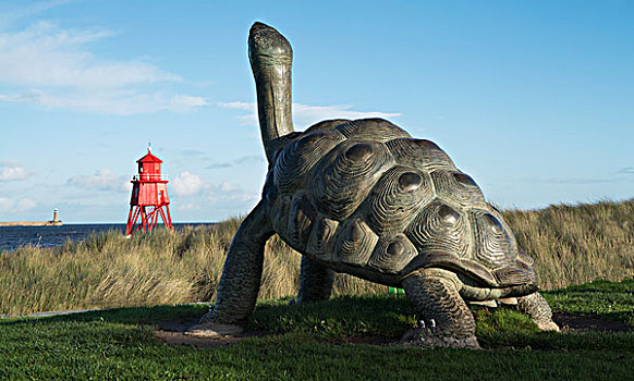 雕塑,海龟,牧群,灯塔,南,泰恩-威尔,英格兰