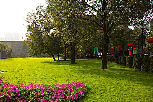 西安城市绿化