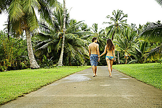 夏威夷,考艾岛,北岸,伴侣,走,小路,握手