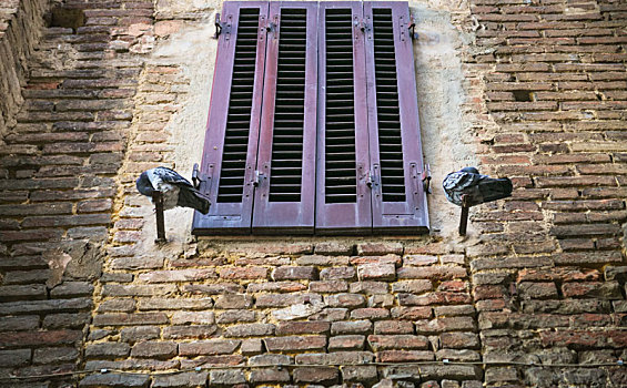 鸽子,靠近,窗户,中世纪,房子