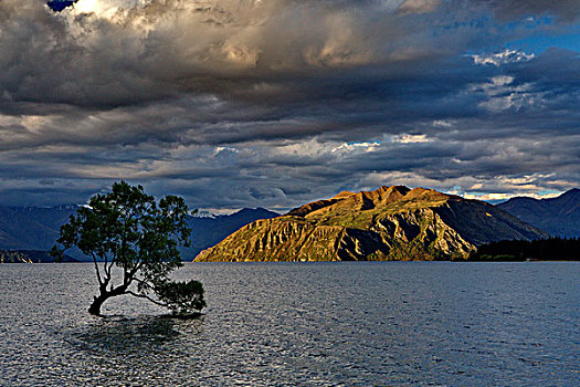 新西兰南岛,蒂阿瑙湖