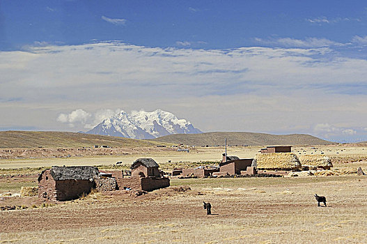 玻利维亚,山脉,道路