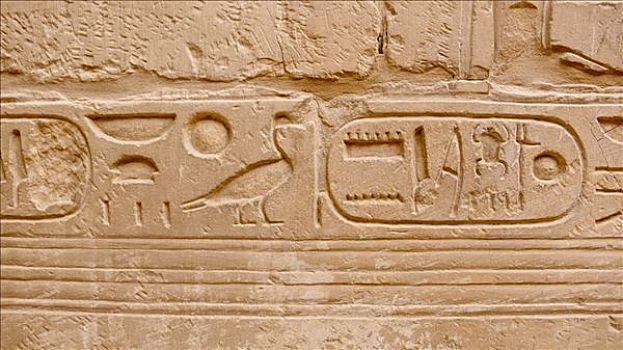 墙壁,绘画,象形文字,卡尔纳克神庙,路克索神庙,埃及,非洲