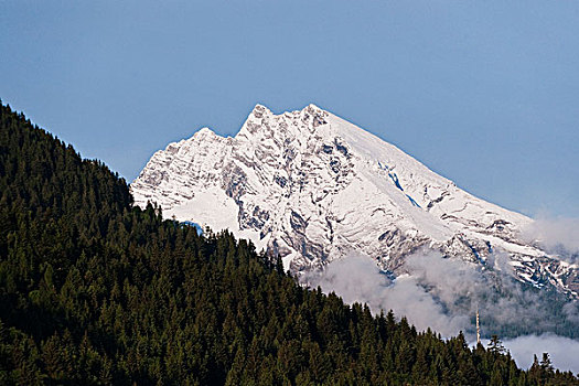 树林,山,德国