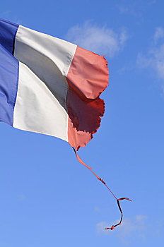 特写,撕破,法国国旗
