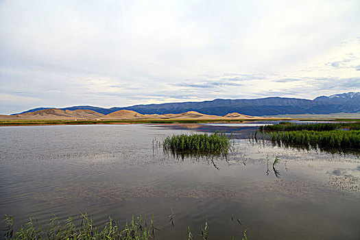 新疆巴里坤鸣沙山湿地