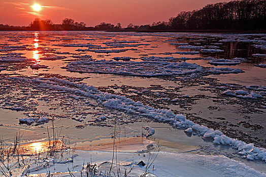 冰,小,浮冰,日落,生物保护区,中间,萨克森安哈尔特,德国,欧洲