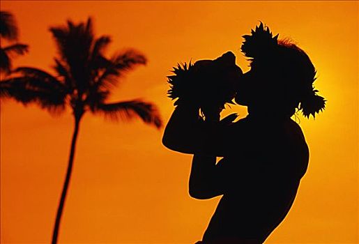 夏威夷,毛伊岛,剪影,男人,吹,海螺壳,日落,火红,橙色天空,棕榈树