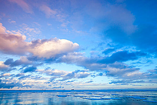 冬天,海边风景,漂浮,冰,碎片,安静,寒冷,水,彩色,生动,天空