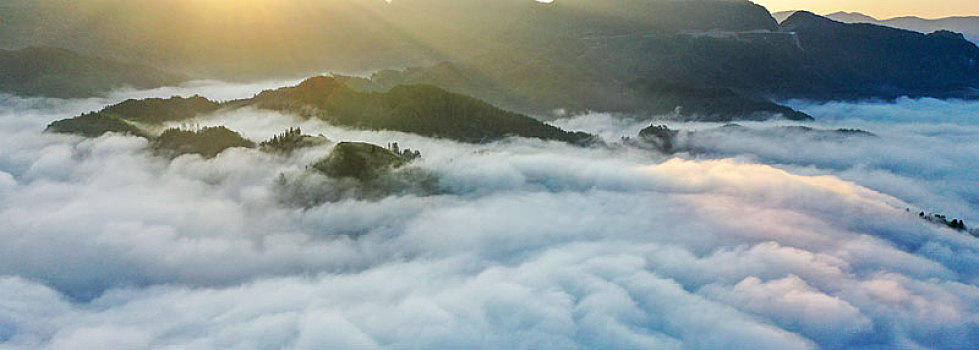 山区晨雾如幻境