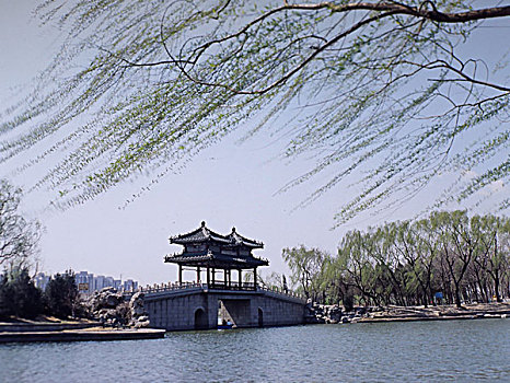 1996年北京崇文区龙潭湖公园原片120翻转片