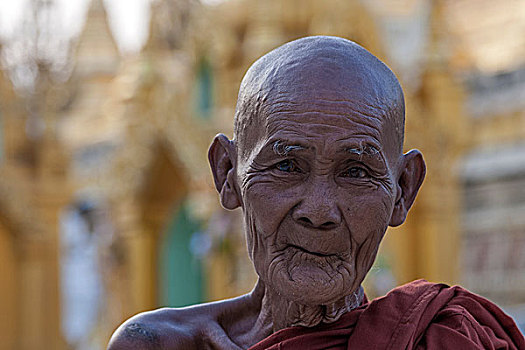 老,僧侣,大金塔,头像,塔,金色,仰光,缅甸,亚洲