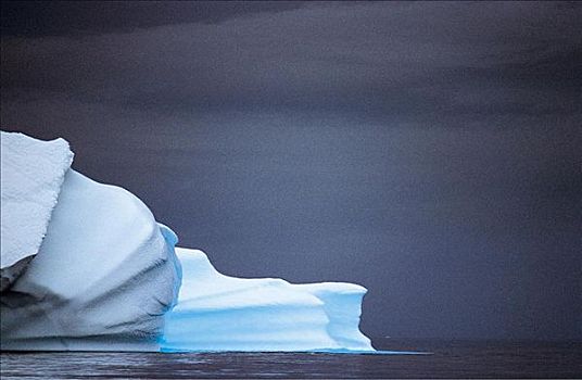 浮冰,水上,海洋,迪斯科湾,格陵兰,大西洋,北极