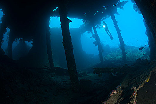 潜水,探索,自由,残骸,图兰奔,巴厘岛,印度尼西亚