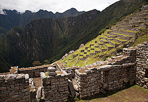 南美,秘鲁,马丘比丘,农业,梯田,石头,房子,世界遗产