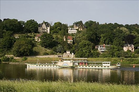 别墅,岸边,易北河,靠近,桨轮船,蒸汽船,德累斯顿,萨克森,德国