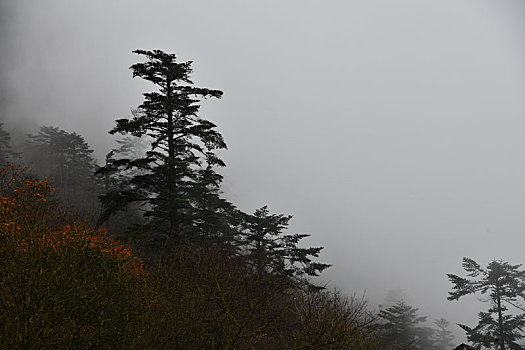 峨眉山