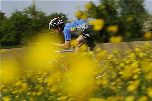 比赛,骑车,骑自行车,过去,花,草地,巴伐利亚,德国,欧洲