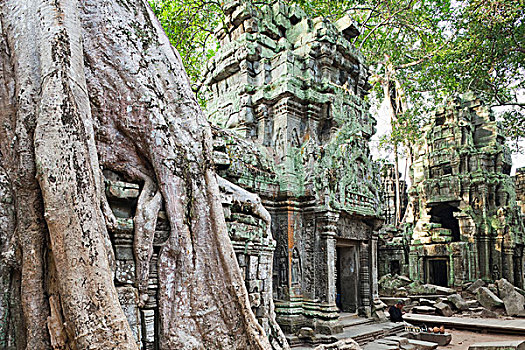 柬埔寨,收获,吴哥,塔普伦寺,庙宇