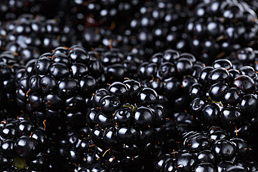 成熟,有机,黑莓,特写,有机食品,背景