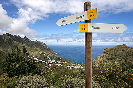 路標,小路,后面,山,海洋,蒙大拿,特內里費島,西班牙,歐洲