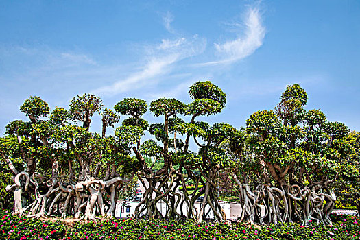 重庆九龙坡区华岩壁虎王国家攀岩示范公园树屏