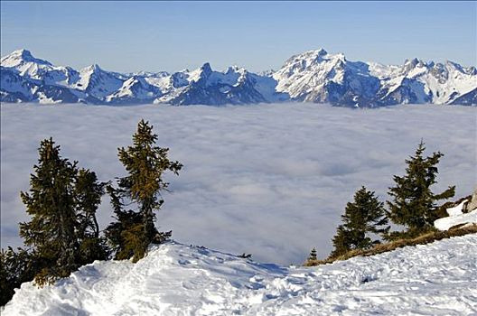 风景,法国阿尔卑斯山,云,悬挂,上方,日内瓦湖,瑞士,法国