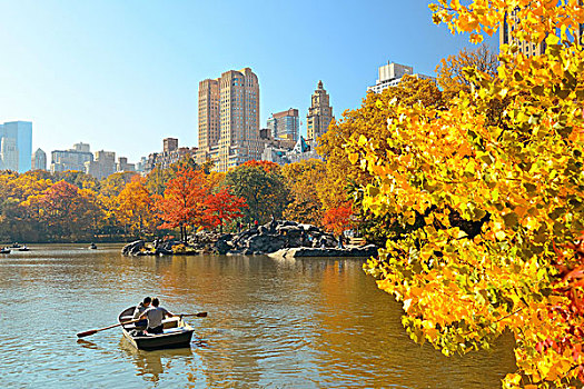 人,泛舟,湖,中央公园,秋天,纽约