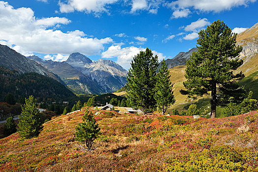 山景,秋天,瑞士,欧洲