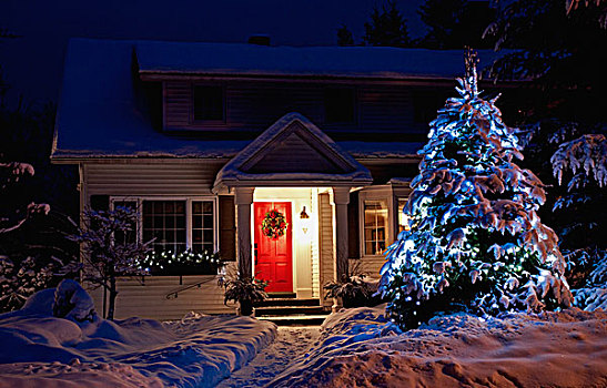 光亮,树,正面,房子,红色,门,圣诞时节,魁北克,加拿大