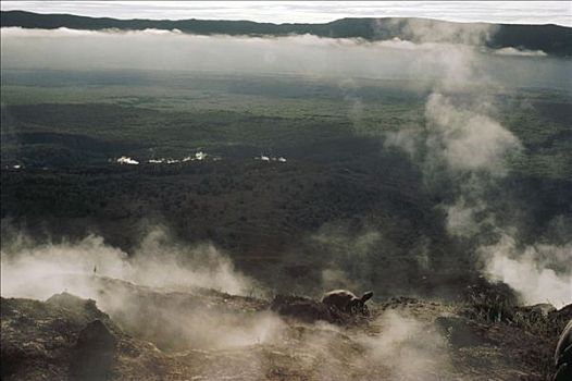 加拉帕戈斯巨龟,加拉帕戈斯象龟,蒸汽,喷气孔,火山口,边缘,阿尔斯多火山,伊莎贝拉岛,加拉帕戈斯群岛,厄瓜多尔
