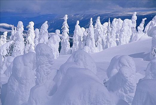 雪,灵异,太阳,顶峰,不列颠哥伦比亚省,加拿大