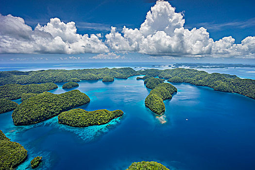 岛屿,乐园,帕劳,密克罗尼西亚,大洋洲