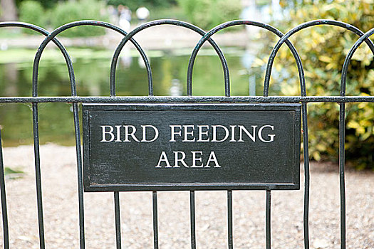 鸟,觅食,区域,圣詹姆斯公园,伦敦