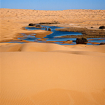 突尼斯,撒哈拉沙漠,东部大沙漠,沙丘,湖