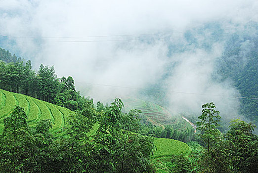 大山里的田园春色