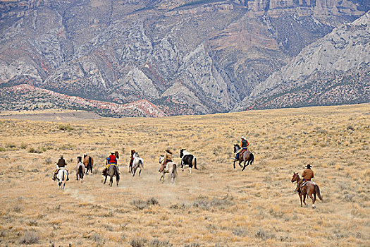 牛仔,放牧,马,荒野,落基山,怀俄明,美国