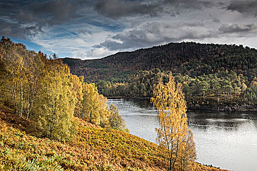 平和,风景,秋天,树,河,苏格兰