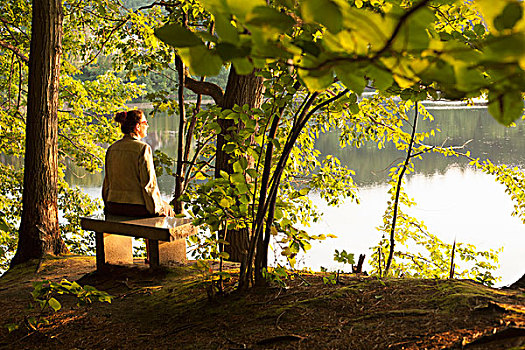 成年,女人,坐,湖岸,座椅,树林,佛蒙特州,美国