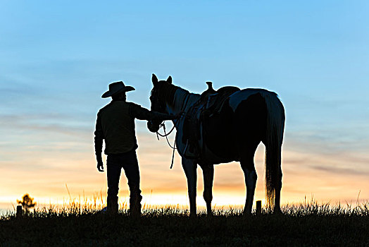 牛仔,站立,靠近,马,草原,风景,日落