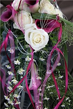 白色,玫瑰,紫色,水芋属,装饰,漂亮,研磨
