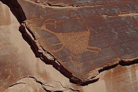 岩刻,展示,绵羊,纪念碑谷纳瓦霍部落公园,亚利桑那
