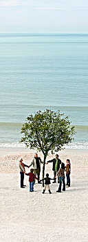 人群,握手,圆,孤树,海滩