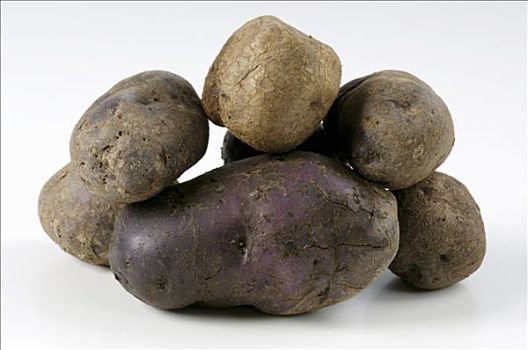 几个,土豆,品种