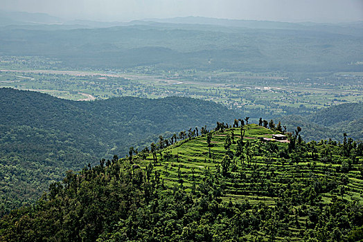 山,开端,平实,室外,北方,印度