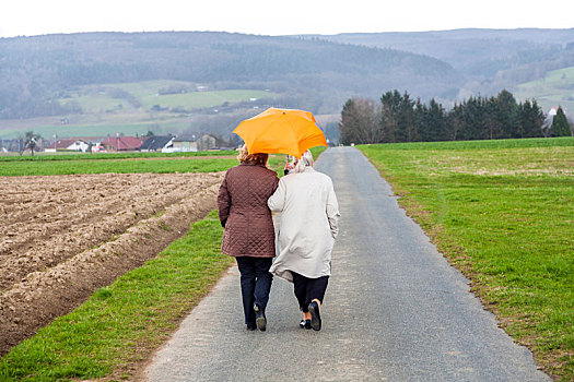 女人,雨,伞,乡村风光